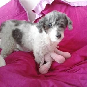 Meet your Posher, Jay